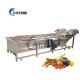 Industrial Automatic Vegetable And Fruit Washing Cleaning Machine For Tomato Salad