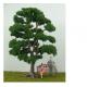 artificial trees--1:87 model tree,model materials,landscape trees,wire trees,model train layout trees