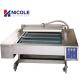 Commercial Semi Automatic Vacuum Packing Machine Continuous For Airtight Food