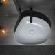 580*470*140mm Irregularity Sanitary Ware Basin With Base Stand