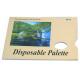 Acrylic / Oil Painting Pad Disposable Palette Type , Artist Drawing Pad 48 sheets 58gsm