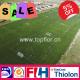 Professional Thiolon Football/ Soccer Field Grass
