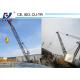 Professional Roof Building Construction Tower Crane WD250(3080)