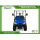 Blue Color Mini Electric Golf Buggy 48V With Trojan Battery/Curtis Controller