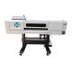 DTF Digital Inkjet Printing Press Batch Printing Digital Inkjet Printing For Textile