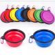 Portable 80g Pet Feeder Bowl 13cm Collapsible Water Bowl