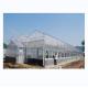 Industrial Polycarbonate Sheet Greenhouses Ideal for Growing Vegetable Fruits Flowers
