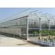 Medical Planting Agricultural Greenhouse Customized Size With Blackout Curtain