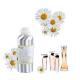 Daisy Fragrance Oil Perfume Concentrated Perfume Oils For Perfume Making