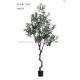 High Imitation Faux Olive Plant 240CM 8 Ft Curving Stem Low Maintance Natural Looking