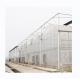 8m Span Width Multi Span Agricultural Greenhouses For Versatile Farming Solutions