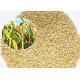 Mini Size Bird Food For Small Birds , White Millet Seed Premium Quality