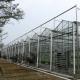 10 X 6 10 X 12 10 X 10 10 X 8 Commercial Glass Greenhouse Galvanized Steel Growing Flower Vegetable