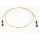 Singlemode 12 Core MPO MTP  Fiber Optic Trunk Cables
