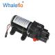 Whaleflo Professional FL-3206 12v dc 60psi 6lpm small car wash water pump