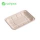 Paper Fruit 8in Sugarcane Bagasse Tray Pulp Eco Biodegradable Sustainable