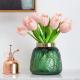 Green Transparent Hydroponic Art Glass Vase Decor for Home Furnishing Hotel Flower Shop