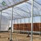 20ft Pe Film Multi Span Greenhouse With Mesh Netting