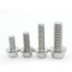 GB Standard Passivated Stainless Steel Hex Flange Bolt M4 M6 M8 M10 M12 Class 4.8.8.8 10.9 12.9