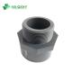 PVC Male Adapter Pn16 DIN Standard Plastic Pipe Fitting Female Adapter