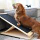 Collapsible Height Adjustable Dog Ramp Hold 100Lbs With 3 Layer Carpet Bed Ramp For Dogs