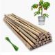 Moso Row Bamboo Poles Canes Stakes Sticks Farming Support Gardening Decoration