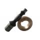 Bronze Worm Gear And Worm Wheel Hard Toothed Surface Skiving Cavex  For Worm Reducer