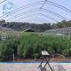 Double Arch Side Ventilation Single Span Greenhouse For Agriculture Strawberry Growing
