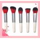 New arrival 5pcs professional makeup brushes set with matte handle and good quality brush hair