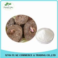 Natural Plant Extract China Offer Active Ingredient Glucomannan 90% Konjac Extract