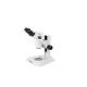 Zoom Stereo microscope binocular Trinocular head  serials microscopes
