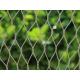 Stainless Steel Wire rope aviary mesh
