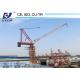 Small D3515 30m Jib Luffing Crane Tower 8tons Load 1.6*1.6*3m Split Mast Section