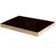 black/brown film faced plywood 12,15,18mm poplar core from China