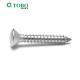 Stainless Steel A2 / A4 DIN7983 Phillips Oval Head Self Tapping Screws
