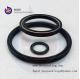 Filled PTFE Spring Energized Lip Seal,PTFE Double Lip Oil Seal,PTFE CARBON GRAPHITE Black Seals