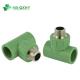 PPR Pipe Fitting Male Thread Tee with Brass Equal and Round Head Code