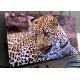 Indoor Full Color Stage Background P4 LED Video Wall Panel Display Screen