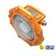 Petrochemical Plant 30W 60W LED Explosion Proof Lights Shock Resistant