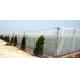 Hdpe Insect Proof Net / Greenhouse Plastic Anti Insect Netting