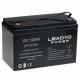 Factory Direct Supply 12V RV Camper Lifepo4 Batteries 12.8 100Ah With Group 31 Size