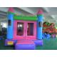 Various Colors 0.55mm PVC tarpaulin Inflatable Bouncy Castle Strong Net Fabric Inside