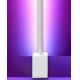 New design LED Integrated Floor Lamp Color Changing Bedroom Corner Lamp for Living room Ambient Light