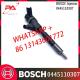Diesel Fuel Common Rail Injector 4941109 627111310 0445110307 for PC70-8 / PC130-8 Excavator