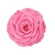 Decorative Preserved Rose Heads Maintain Natural Beauty & Colour For A Long Time