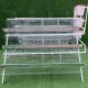 Poultry 3tiers A Type Layer Cage High Strength For Chicken
