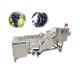 500Kg/H Chili And Ginger Garlic Cleaning Machine Vegetable And Fruit Ginger Bubble Washing Machine