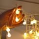 1.5m To 100m Frosted Small Patio String Lights For Christmas