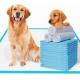 SAP Pets At Home Training Pads Super Absorbent Washable Wee Wee Pads