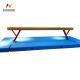 Customized Size Gymnastic Sport Equipment Balance Beam and Mat Set for Exercise Training